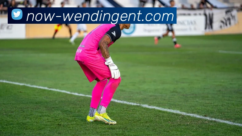 Wending EntertainmentAPP 高清赛事图